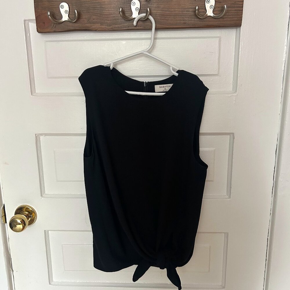 Babaton Hopkins Blouse